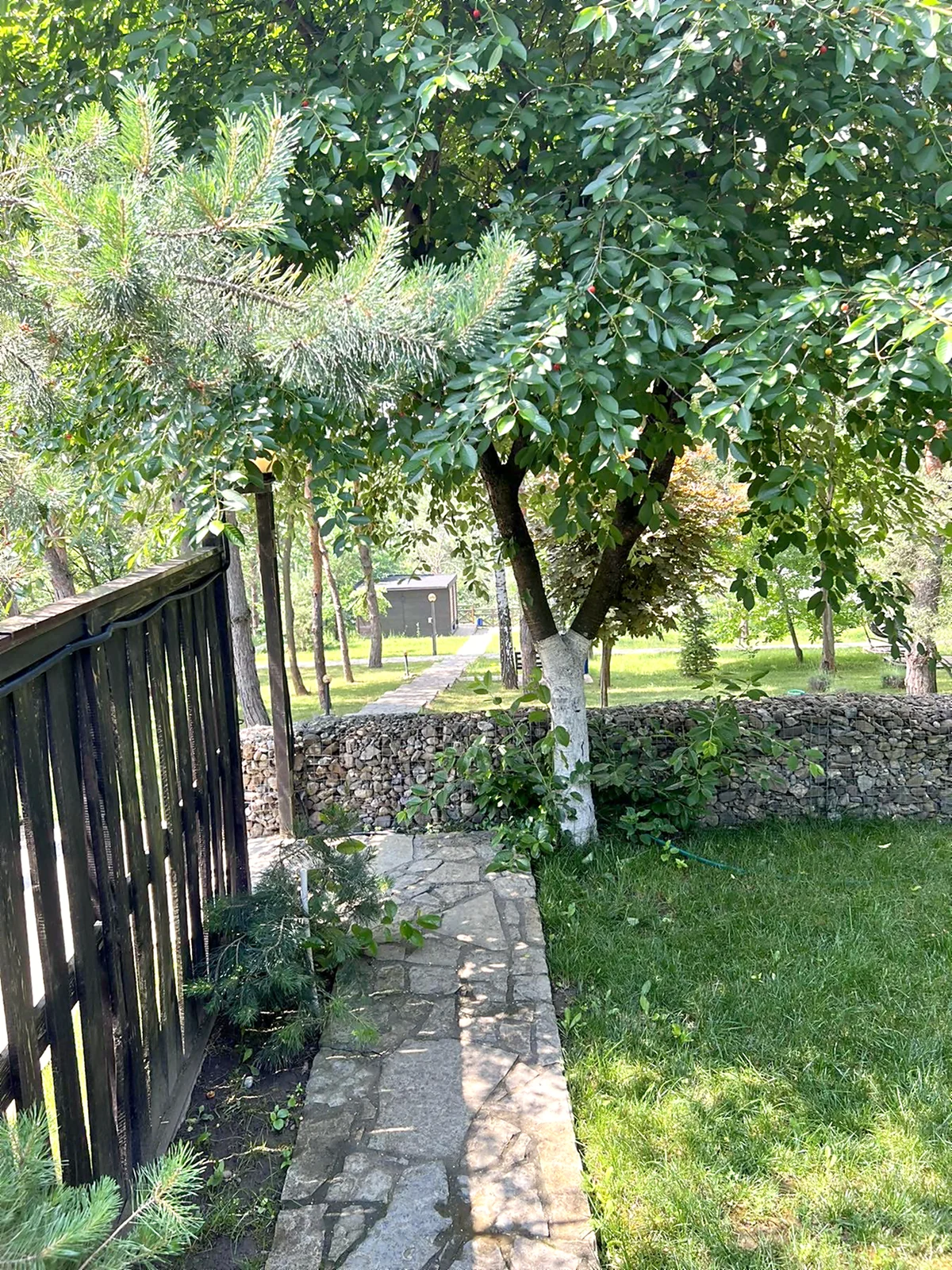 Studio cottage